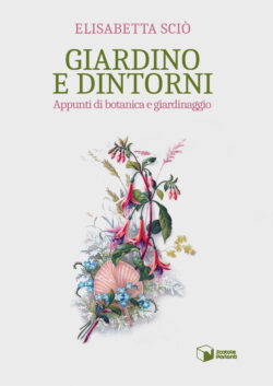 Giardino e dintorni