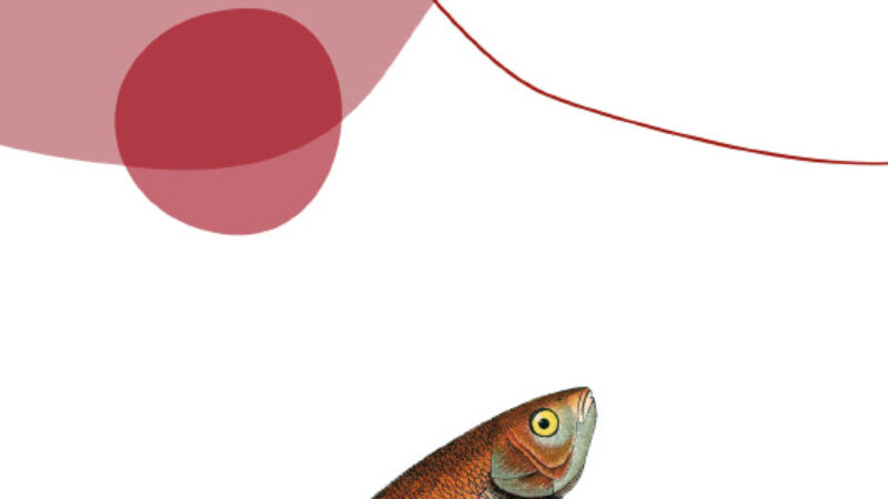 Raccontare è il mio mestiere
