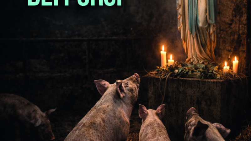 Santa Madre dei Porci