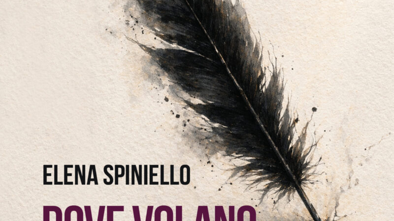 Dove volano i corvi